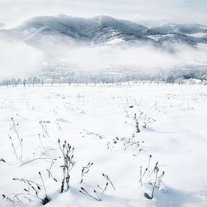 Blau-weißer Winter