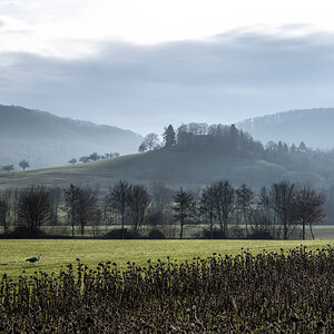 Lotenberg