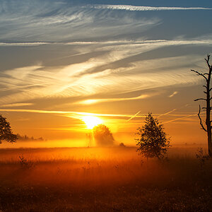 Sonnenaufgang im Gehlenbecker Moor