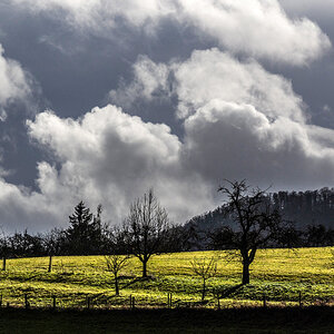 Laut Wetterfrosch: Mistwetter