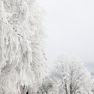 Winterkleid aus Eiskristallen