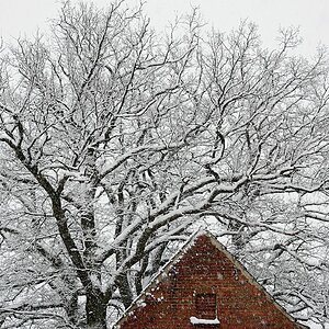 Im Schneegestöber