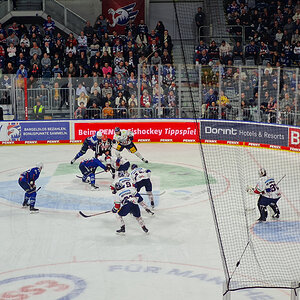 Adler Mannheim