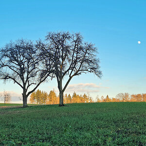 Zwillinge mit Mond