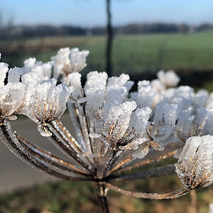 Heute strahlender Sonnenschein