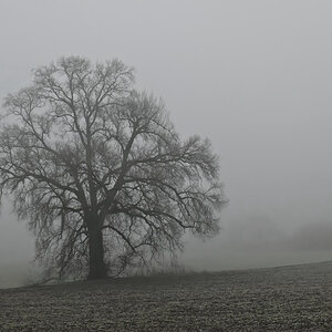 leichter Bodenfrost