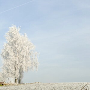 Nach dem Nebel