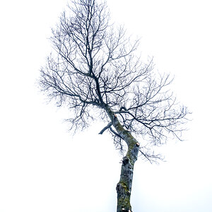 vom Sturm gezeichnet