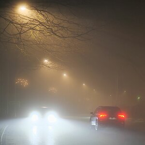 Begegnung im Nebel