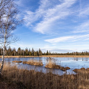 Wurzacher Ried