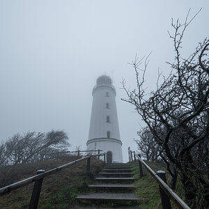 Nebel auf Hiddensee