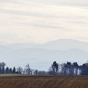 Weitblick