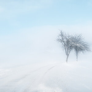 fast im Nebel verloren