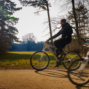 Baum Februar.jpg