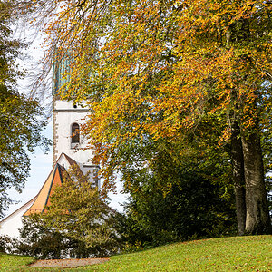 Herbst auf dem Bussen