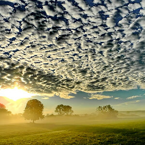 Wolkenmeer über den Mainwiese .jpg