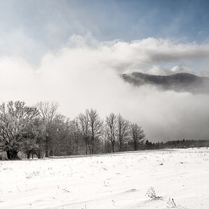 Bergwelt im Winter