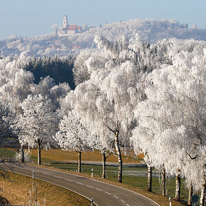 Bussen im Frostkleid