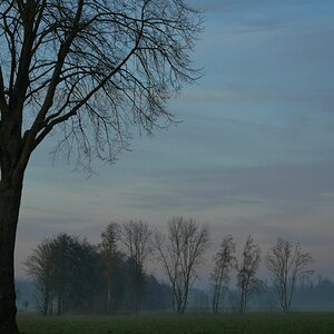 Aufsteigend über den Feldern