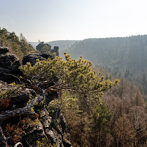 Elbsandsteingebirge - Bielatal