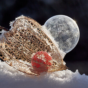 Seifenblase auf Physalis