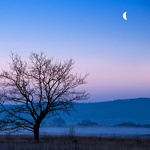 Blaue Stunde im Moor