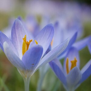 Der Frühling kommt