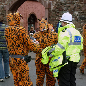 CATS #2 at Mad Sunday,  Isle of Man