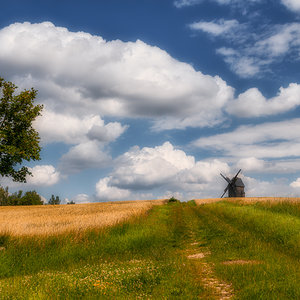 Weg zur Mühle