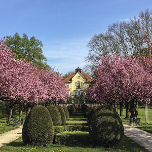 Frühling im Park.jpg