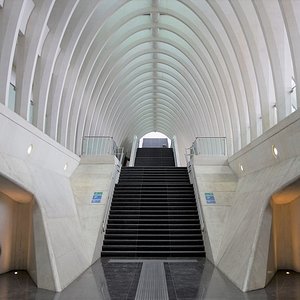 Liège-Guillemins