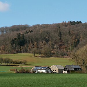 Vorfrühling