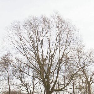 Windschief im März