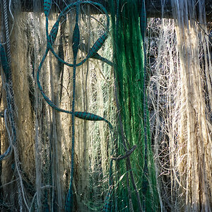 Netzwerk im Hafen von Bodstedt/Ostsee