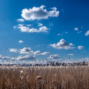 Schönwetterwolken