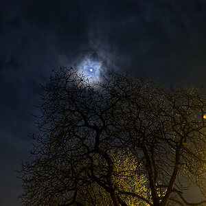 Dienstag vor Vollmond