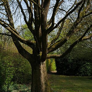 Frühlingserwachen