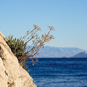 Seeblick