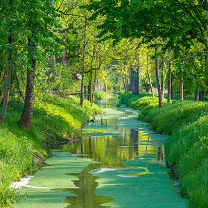 Bachlauf
