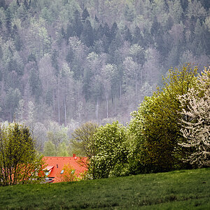 Die Natur erwacht
