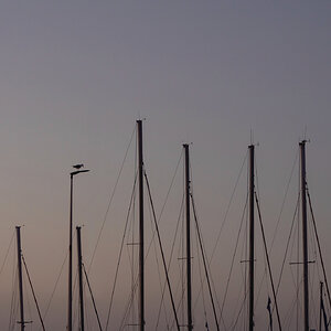 Am Hafen