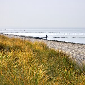 Sonnenfang