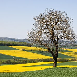 Das Leben ist bunt