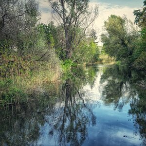 Lobau