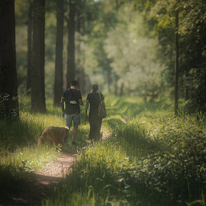 Waldspaziergang