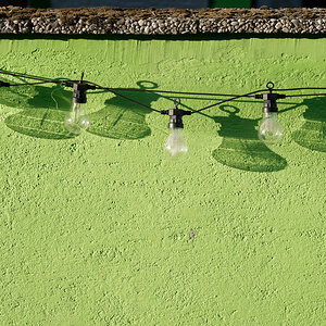 grüne Mauer