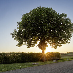 am Wegkreuz