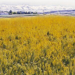Landschaft