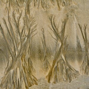 ... Sand’wald‘