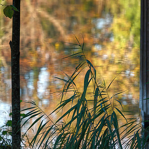 Herbst am See #2